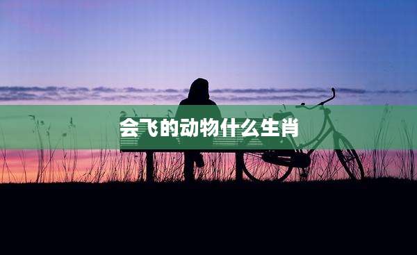 会飞的动物什么生肖