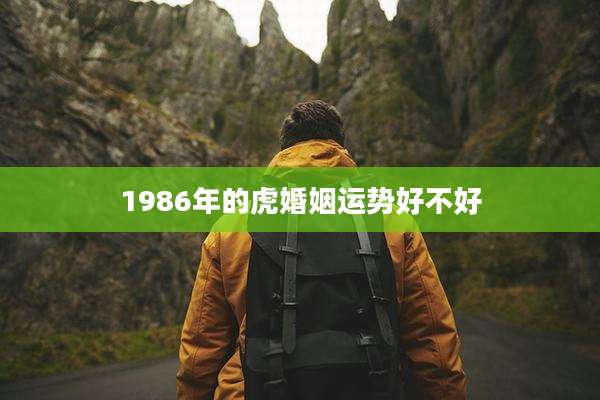 1986年的虎婚姻运势好不好