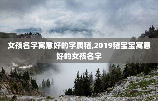 女孩名字寓意好的字属猪,2019猪宝宝寓意好的女孩名字