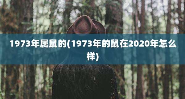 1973年属鼠的(1973年的鼠在2020年怎么样)