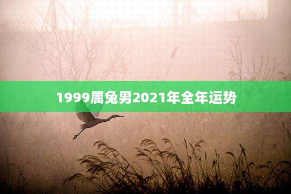 1999属兔男2021年全年运势