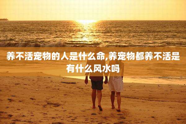 养不活宠物的人是什么命,养宠物都养不活是有什么风水吗