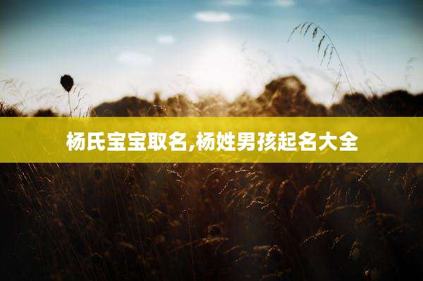 杨氏宝宝取名,杨姓男孩起名大全