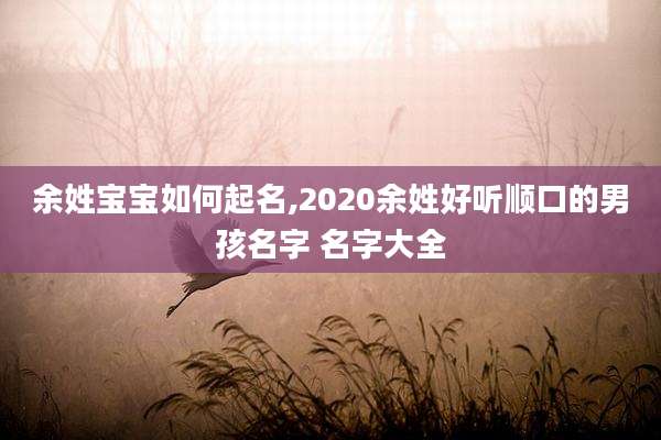 余姓宝宝如何起名,2020余姓好听顺口的男孩名字 名字大全