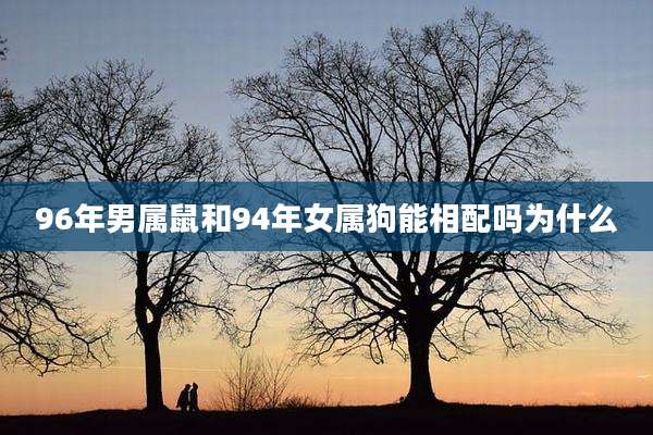 96年男属鼠和94年女属狗能相配吗为什么
