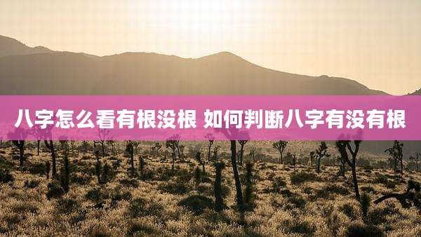 八字怎么看有根没根 如何判断八字有没有根
