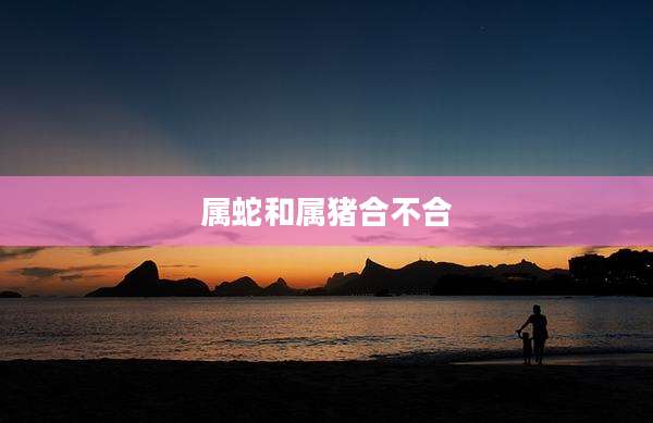 属蛇和属猪合不合