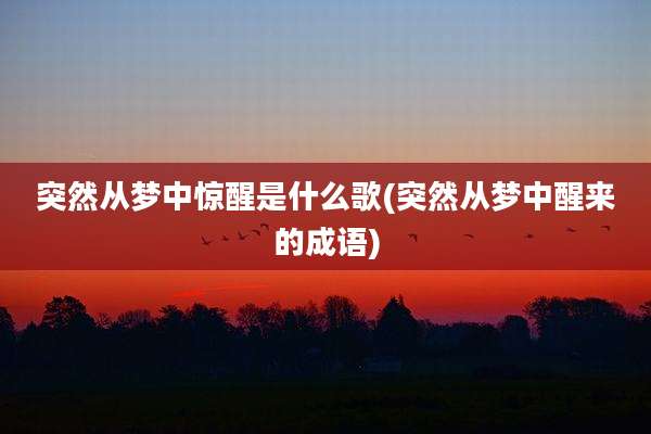 突然从梦中惊醒是什么歌(突然从梦中醒来的成语)