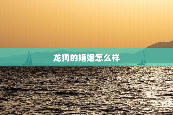 龙狗的婚姻怎么样