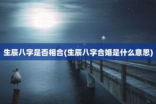 生辰八字是否相合(生辰八字合婚是什么意思)