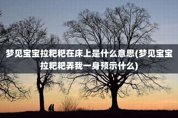梦见宝宝拉粑粑在床上是什么意思(梦见宝宝拉粑粑弄我一身预示什么)