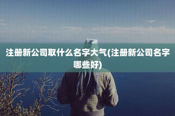 注册新公司取什么名字大气(注册新公司名字哪些好)