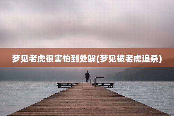 梦见老虎很害怕到处躲(梦见被老虎追杀)