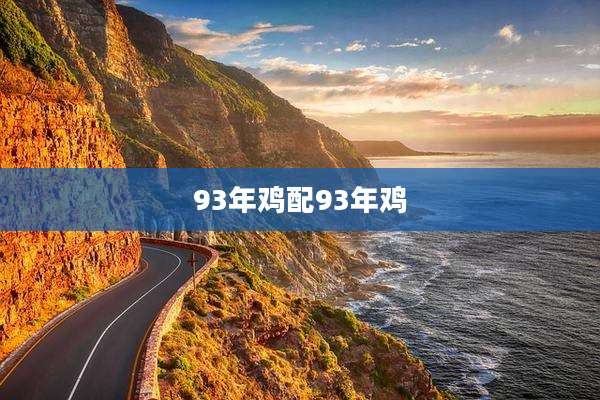 93年鸡配93年鸡