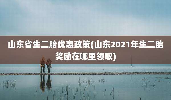 山东省生二胎优惠政策(山东2021年生二胎奖励在哪里领取)