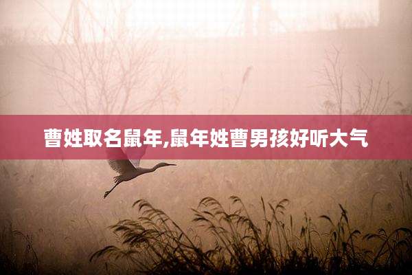 曹姓取名鼠年,鼠年姓曹男孩好听大气