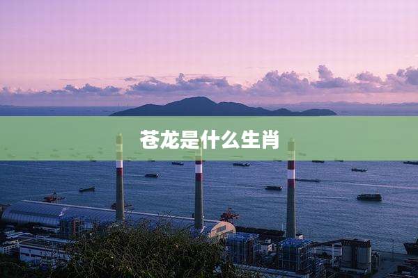 苍龙是什么生肖