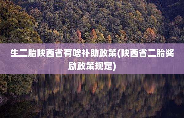 生二胎陕西省有啥补助政策(陕西省二胎奖励政策规定)