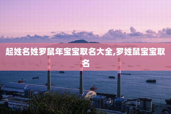 起姓名姓罗鼠年宝宝取名大全,罗姓鼠宝宝取名