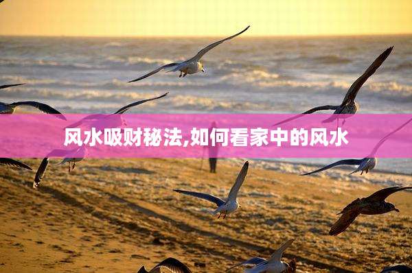 风水吸财秘法,如何看家中的风水