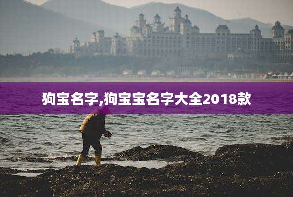狗宝名字,狗宝宝名字大全2018款