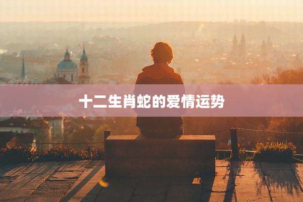 十二生肖蛇的爱情运势
