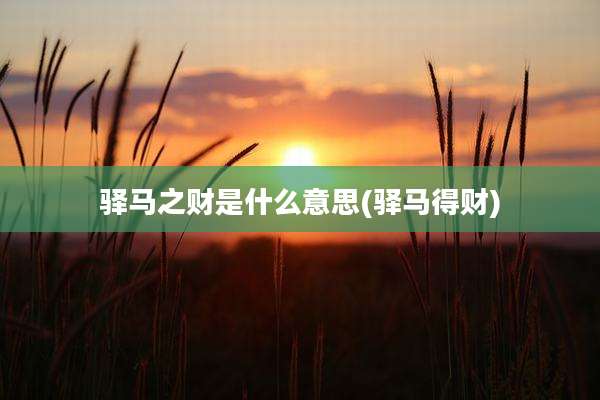 驿马之财是什么意思(驿马得财)