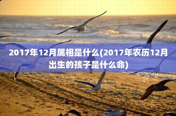 2017年12月属相是什么(2017年农历12月出生的孩子是什么命)