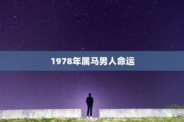 1978年属马男人命运