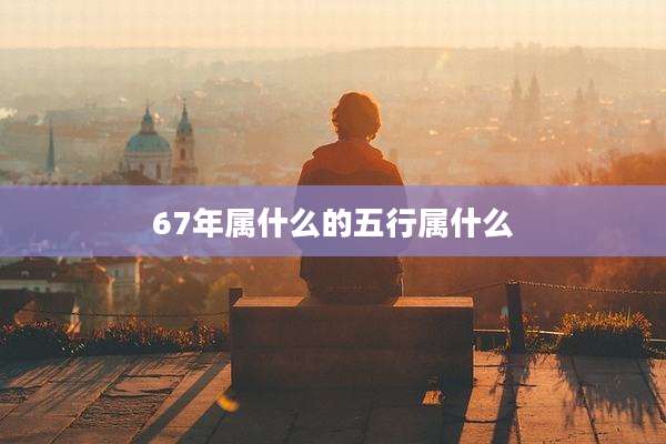 67年属什么的五行属什么