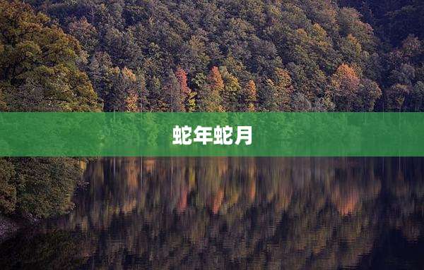 蛇年蛇月