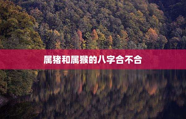 属猪和属猴的八字合不合