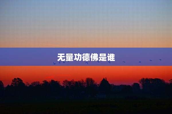 无量功德佛是谁