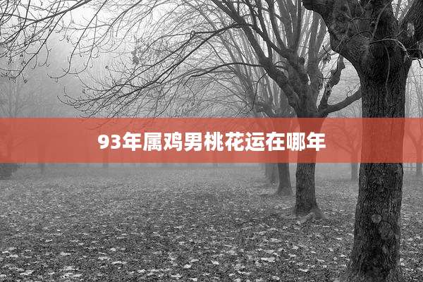 93年属鸡男桃花运在哪年