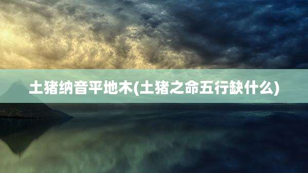 土猪纳音平地木(土猪之命五行缺什么)