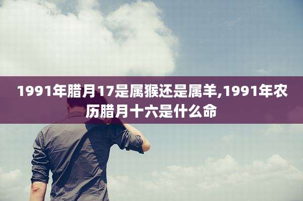1991年腊月17是属猴还是属羊,1991年农历腊月十六是什么命