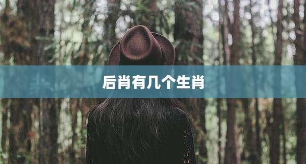 后肖有几个生肖