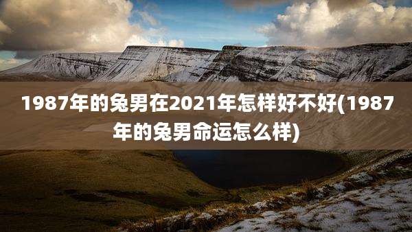 1987年的兔男在2021年怎样好不好(1987年的兔男命运怎么样)
