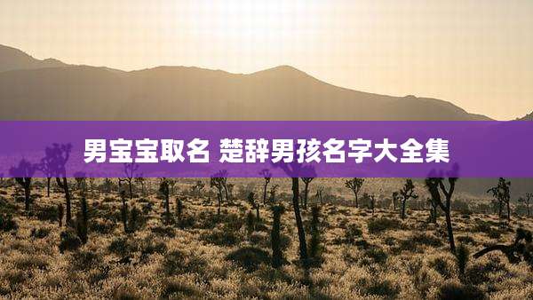 男宝宝取名 楚辞男孩名字大全集