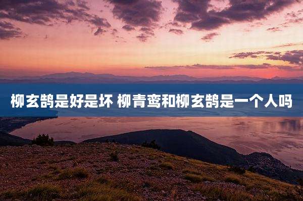 柳玄鹄是好是坏 柳青鸾和柳玄鹄是一个人吗