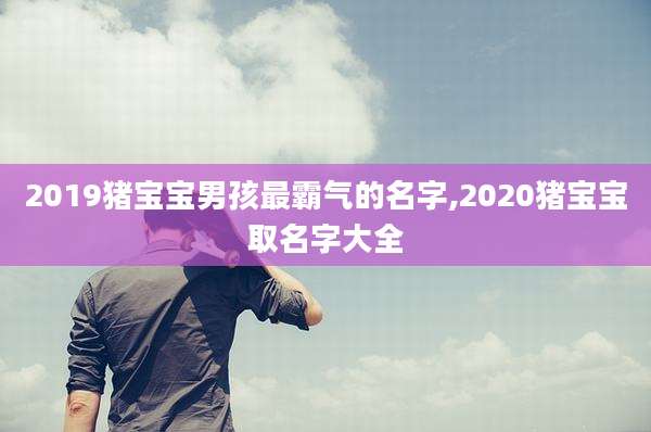 2019猪宝宝男孩最霸气的名字,2020猪宝宝取名字大全