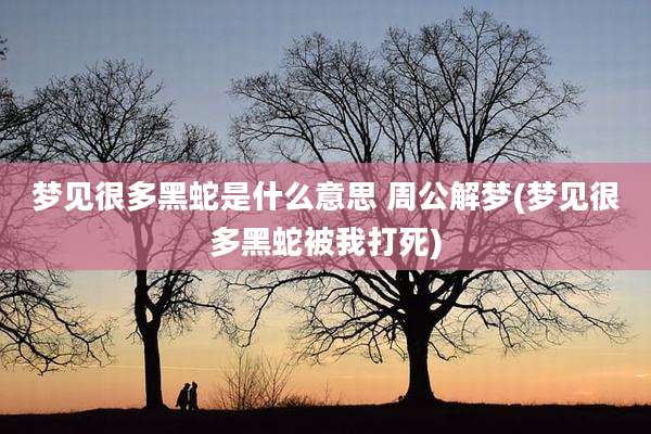 梦见很多黑蛇是什么意思 周公解梦(梦见很多黑蛇被我打死)