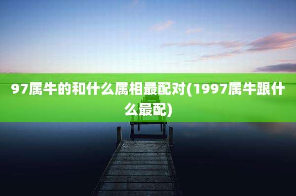 97属牛的和什么属相最配对(1997属牛跟什么最配)