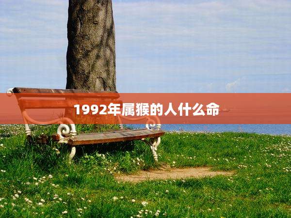 1992年属猴的人什么命