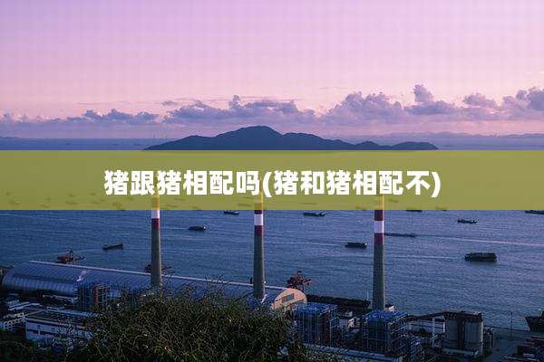 猪跟猪相配吗(猪和猪相配不)