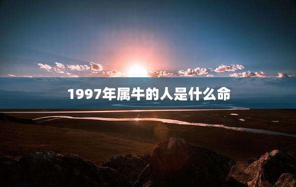 1997年属牛的人是什么命