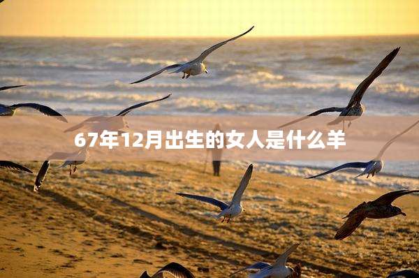 67年12月出生的女人是什么羊