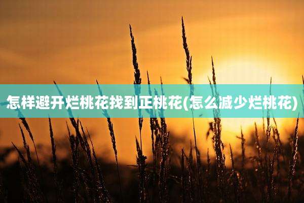 怎样避开烂桃花找到正桃花(怎么减少烂桃花)