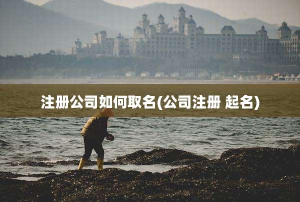 注册公司如何取名(公司注册 起名)