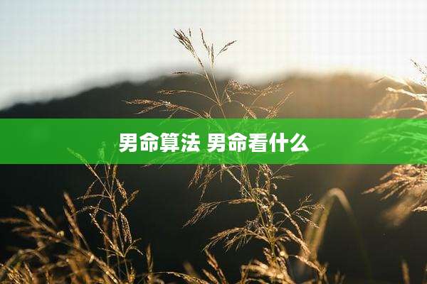 男命算法 男命看什么